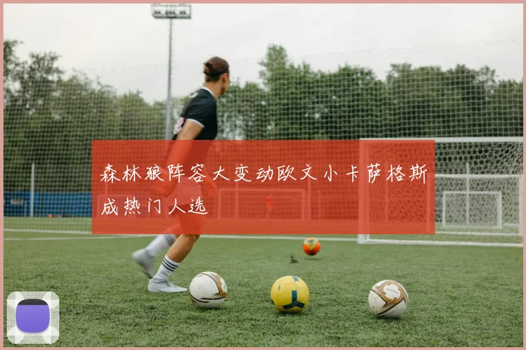 森林狼阵容大变动欧文小卡萨格斯成热门人选