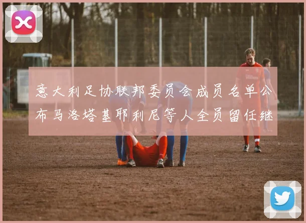 意大利足协联邦委员会成员名单公布马洛塔基耶利尼等人全员留任继续服务